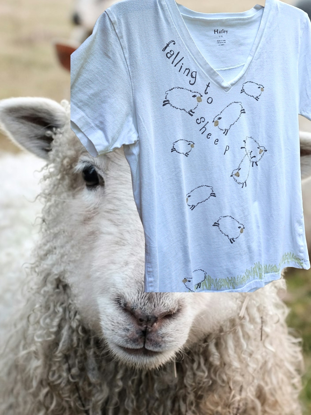 Hatley White V‑Neck Tee with Falling to Sheep Print